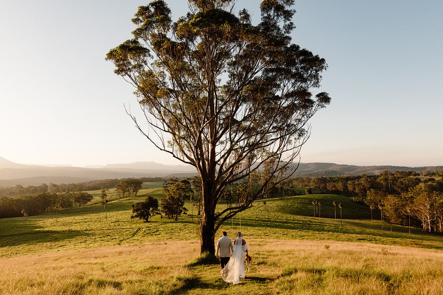 Bride and groom walking down to a tree with bright blue skies and the sun shining at the Barn on the ridge.