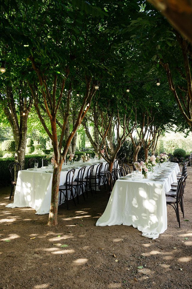 Outdoor wedding reception set under the crepe myrtle trees at The Merribee, with bentwood chairs, white linen, and dappled summer light.