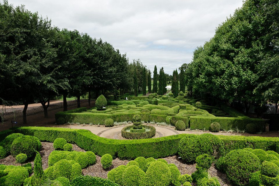 The manicured topiary maze and avenue of trees in the gardens at The Merribee, a luxury garden wedding venue in Numbaa on the South Coast of NSW, photographed by KLD Photography.